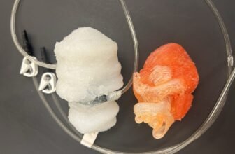 3D Printing News Briefs, March 21, 2026: Resin Safety, 3D Printed Bandages, & More – 3DPrint.com