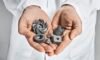 Sandvik Leaves 3D Printing: Analysis – 3DPrint.com