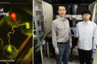 3D Printing News Briefs, August 29, 2026: Prosthetics, Pelvic Implants, Capillaries, & More – 3DPrint.com