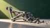 What’s Left When a 3D Printing Company Shuts Down? – 3DPrint.com