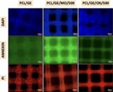 3D Printed Patches Made with a “Miracle Tree” Could Change How Doctors Treat Colon Cancer – 3DPrint.com