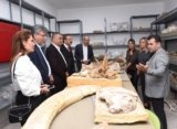3D Printing Brings 7.7M-Year-Old Giants Back to Life in Türkiye – 3DPrint.com