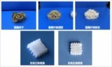 Chinese Researchers 3D Printing Lotus Root Scaffolds for Bone Implants – 3DPrint.com