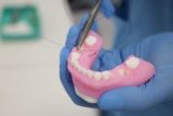 Stratasys Unveils 3D Printed Dental Anatomical Model Preset – 3DPrint.com