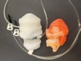 3D Printing News Briefs, March 21, 2026: Resin Safety, 3D Printed Bandages, & More – 3DPrint.com
